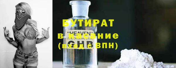 прущие грибы Вязники