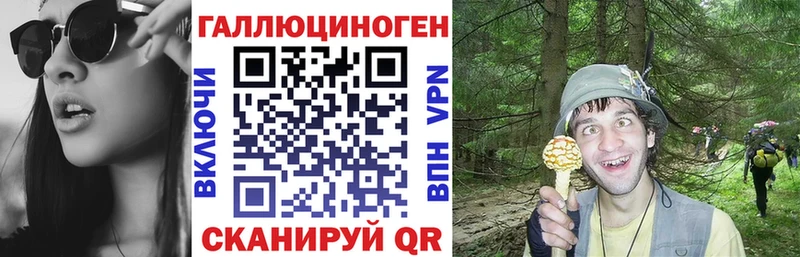 где найти   Енисейск  Псилоцибиновые грибы ЛСД 