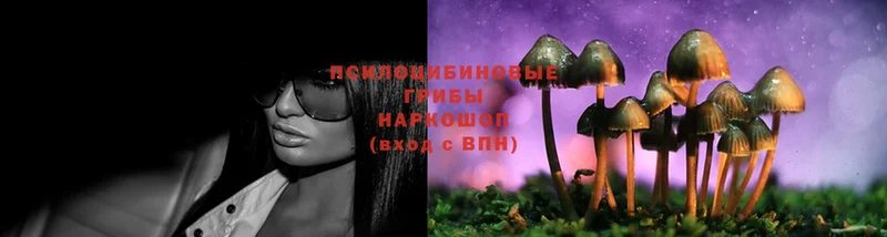 Псилоцибиновые грибы Magic Shrooms  Енисейск 